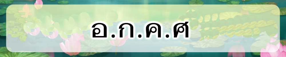 Random Name